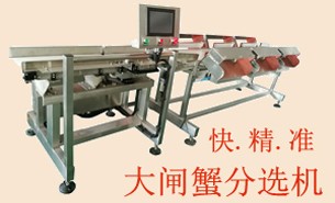 大閘蟹海參鮑魚(yú)自動(dòng)分選-自動(dòng)上料排序重量稱重選別設(shè)備